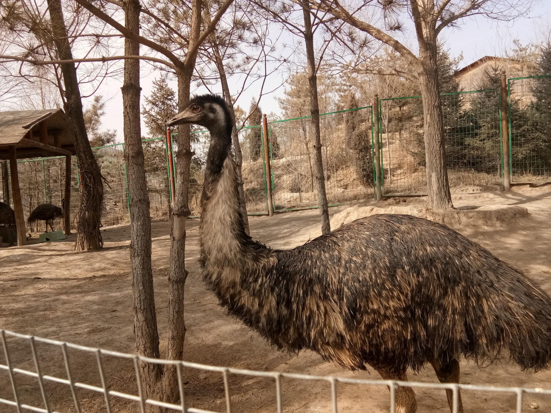 高原绿洲,青海的绿色奇迹